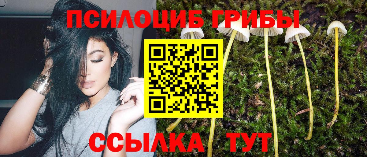 Морозовск  Псилоцибиновые грибы Magic Shrooms  Вход с VPN 