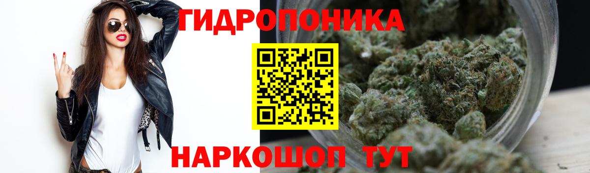 Марихуана сатива  Бошки Шишки сатива  Морозовск  Вход с VPN  Бошки Шишки сатива  Канабис план 